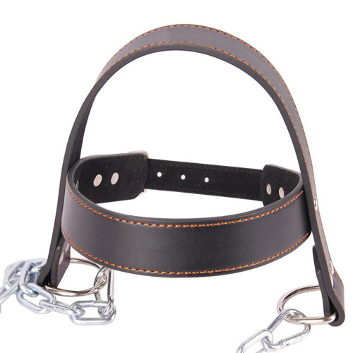 Head Harness